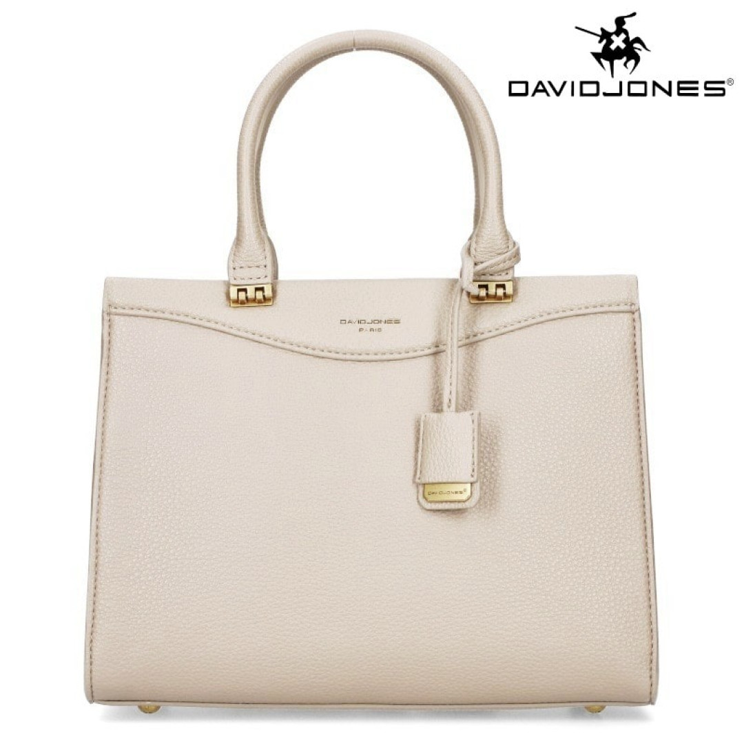 Ladies fashion handbag David Jones Lux - Main Image