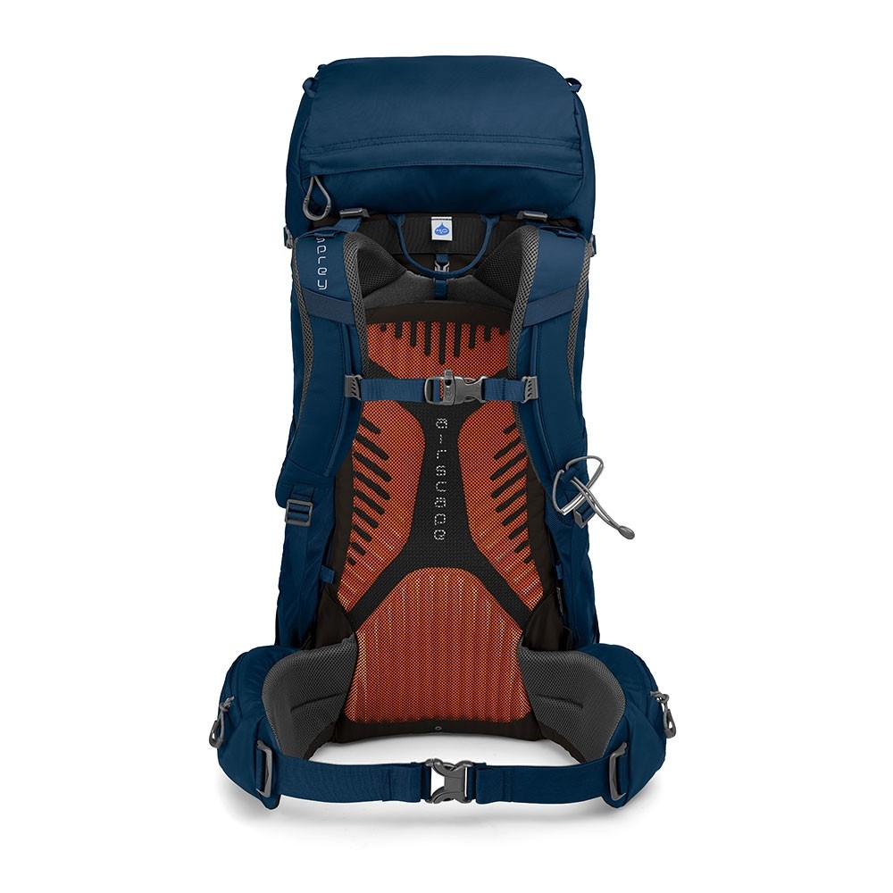 Backpack Osprey | Kestrel 38