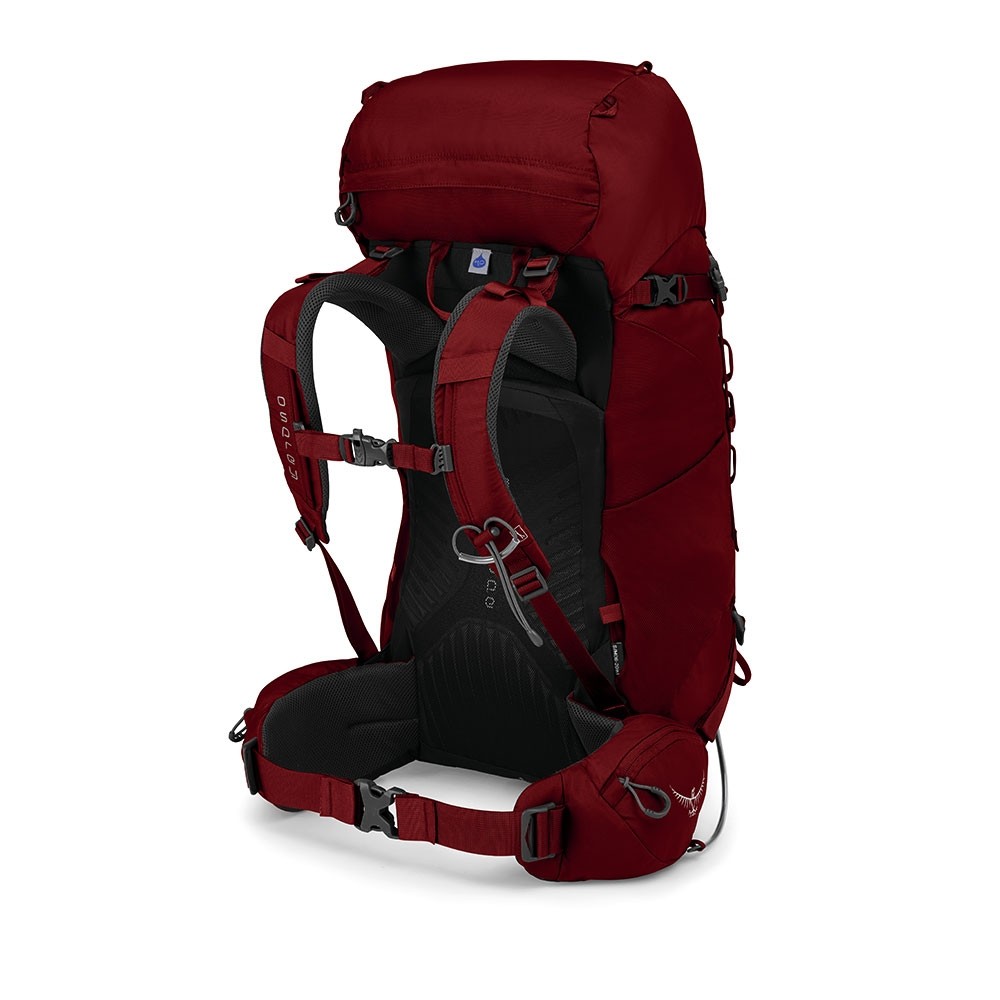 Backpack Osprey | Kestrel 38