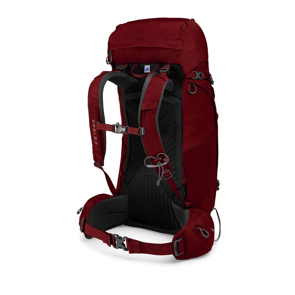Osprey backpack | Kestrel 48